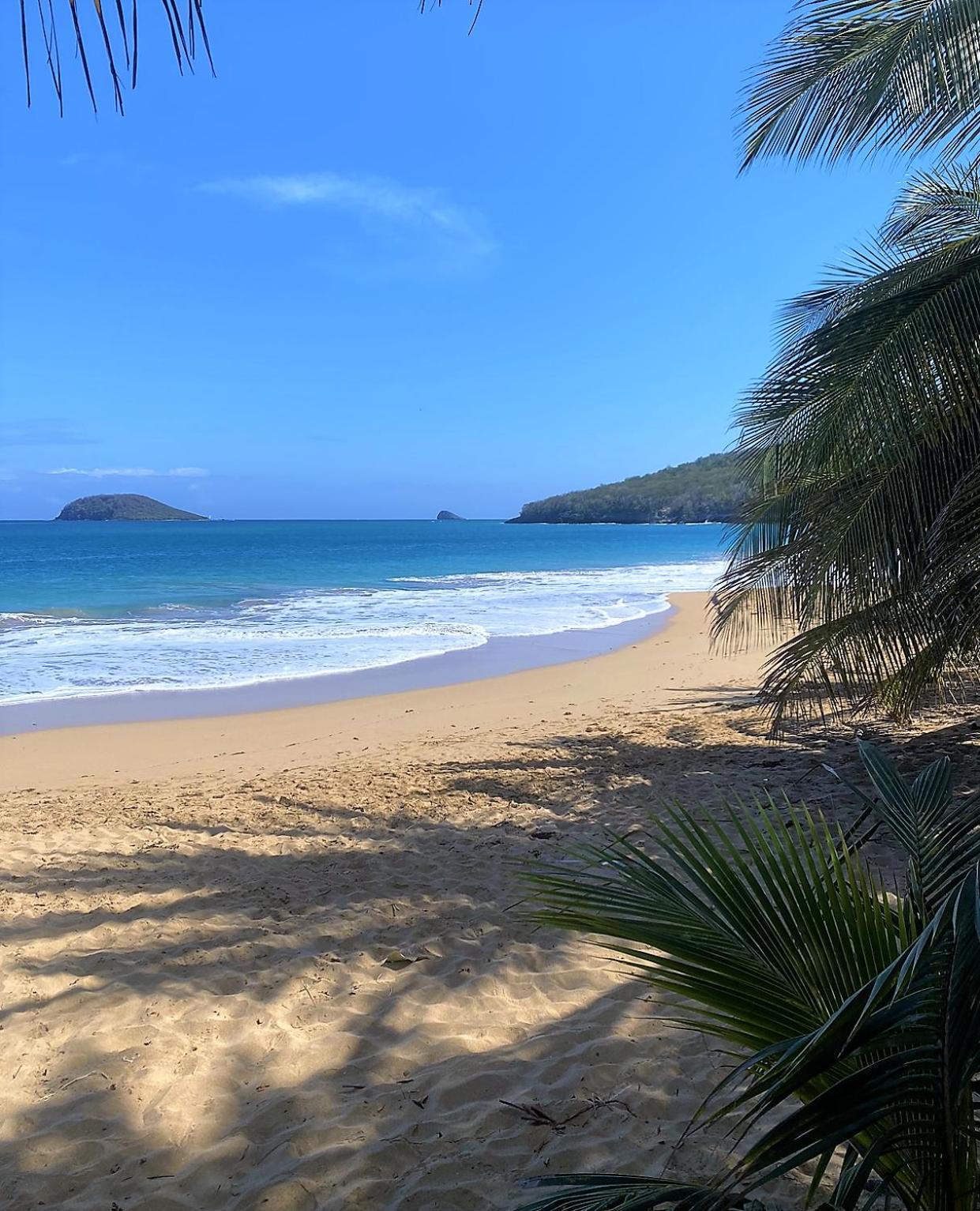 Charmant Bungalow Tout Confort Climatise - Terrasse Et Acces Plage ! Deshaies Bagian luar foto