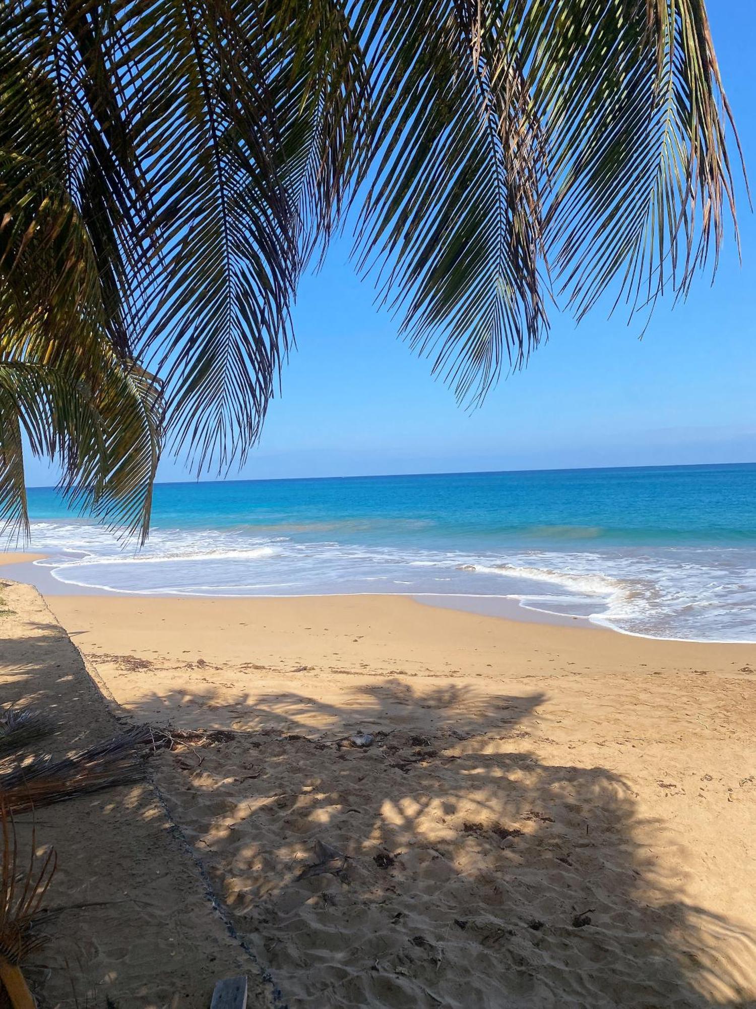 Charmant Bungalow Tout Confort Climatise - Terrasse Et Acces Plage ! Deshaies Bagian luar foto